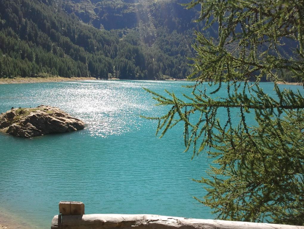 Residence Garni Il Giglio Commezzadura Dış mekan fotoğraf